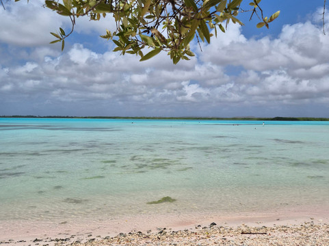 Lac Bay-Kralendijk必去景点