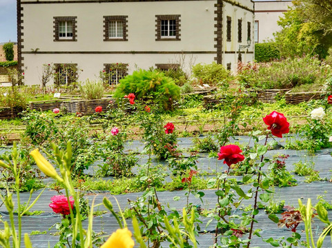 Palais Sant'Ana plutot que Palacios da Presidencia-蓬塔德尔加达必去景点