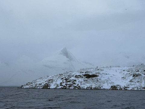 Veidemann Sailing-特罗姆瑟必去景点