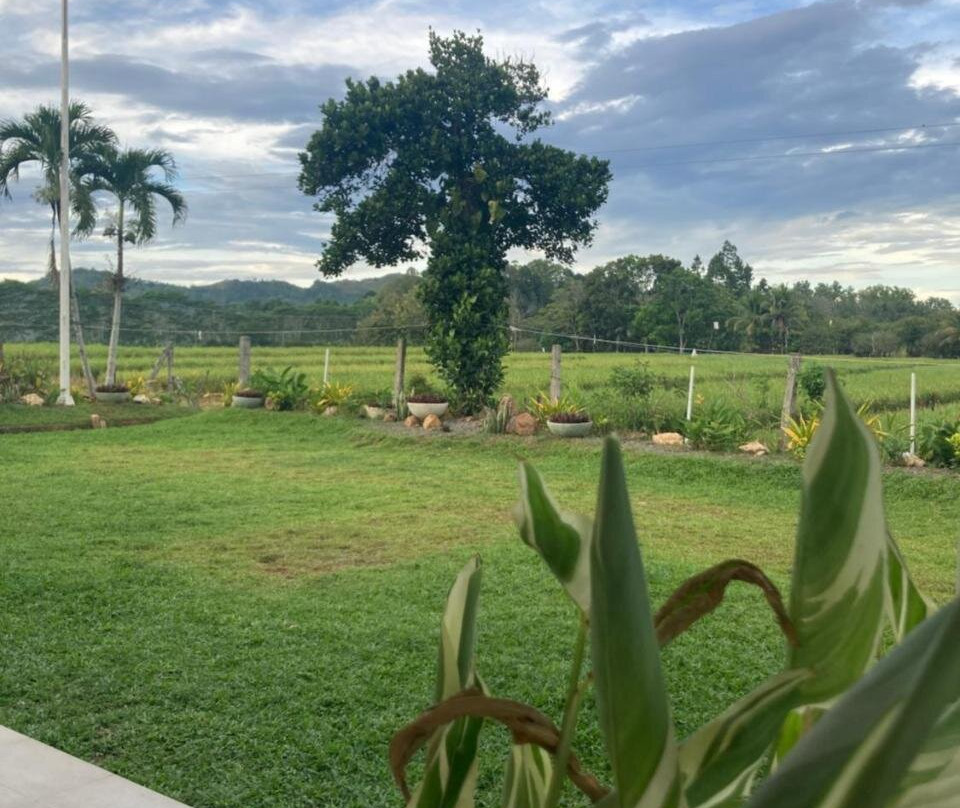 The Eliana Farm Resort And Villas