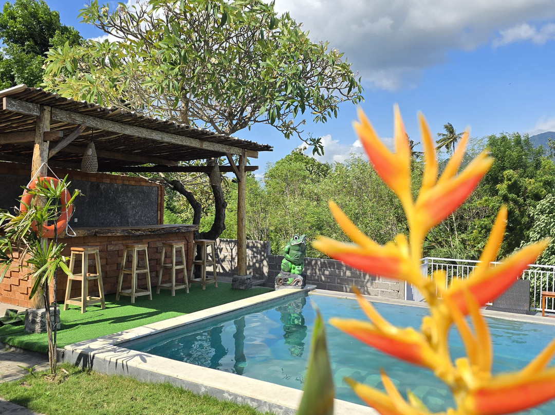 Eco Moringa Garden主图