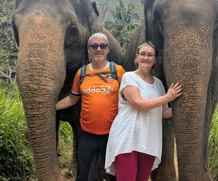 Elephant Freedom Project-凯格勒 必去景点