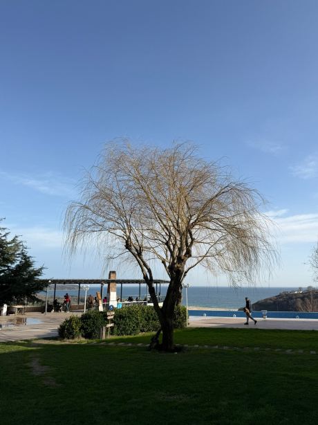 Kiyikoy Resort Hotel-官方