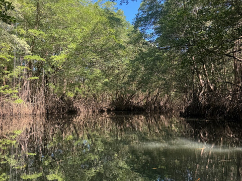 Pargos Adventures Day Tours-Playa Negra必去景点