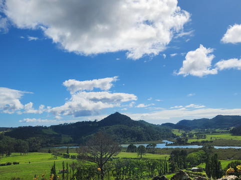 Purangi Estate Limited-库克海滩必去景点