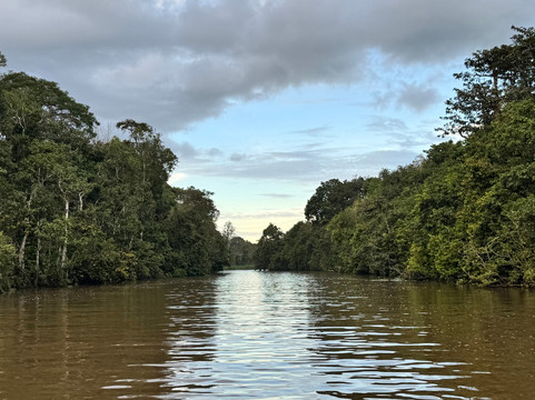 Borneo Eco Tours-亚庇必去景点