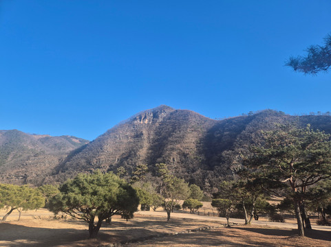Bongjeongsa Temple-安东市必去景点