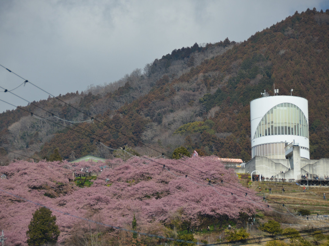 Nishihirahata Park-松田町必去景点