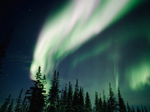 Discover Churchill Tours-丘吉尔必去景点