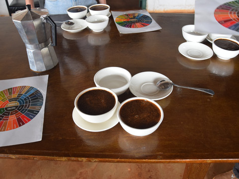 Karunguru Coffee Estate-Ruiru必去景点