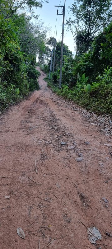杰岛度假村-官方
