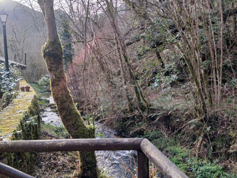 Complejo Rural la Tahona de Besnes主图