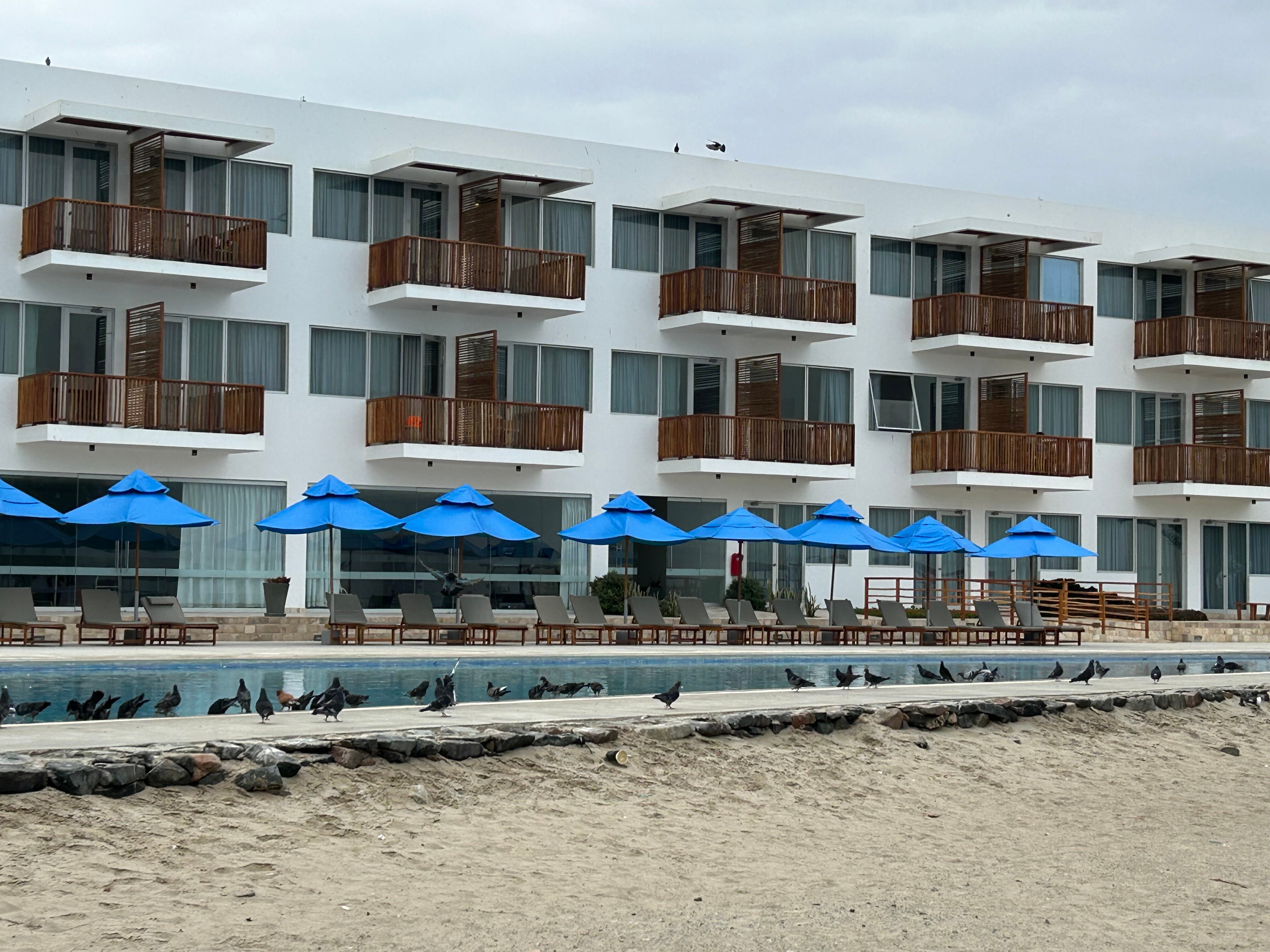 圣奥古斯丁帕拉卡斯酒店-泳池