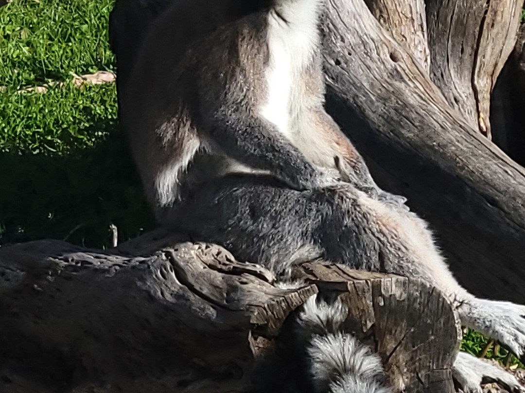 Corsica Zoo-Olmeta di Tuda必去景点