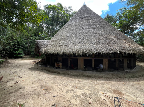 Psychonauta Foundation-伊基托斯必去景点