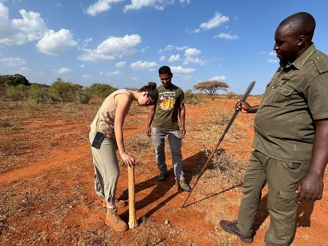 nomade SAFARI-蒙巴萨必去景点