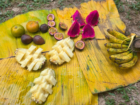 Sumatra Tour Adventures-武吉拉旺必去景点