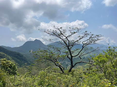 Sri Lanka Trekking-康提必去景点