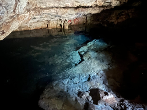 Lawson's Original Yucatan Excursions-Progreso必去景点