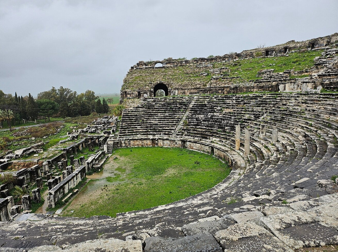 Milet Antik Kenti-迪迪姆必去景点