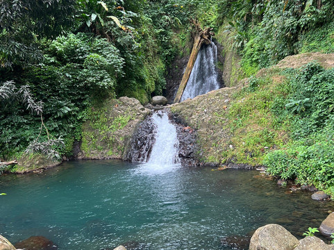 Seven Sisters Waterfalls Grenada-Grand Etang National Park必去景点