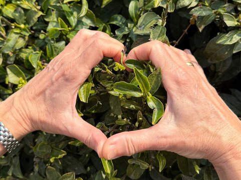 Himalaya Darshan Treks Pvt. Ltd-加德满都必去景点