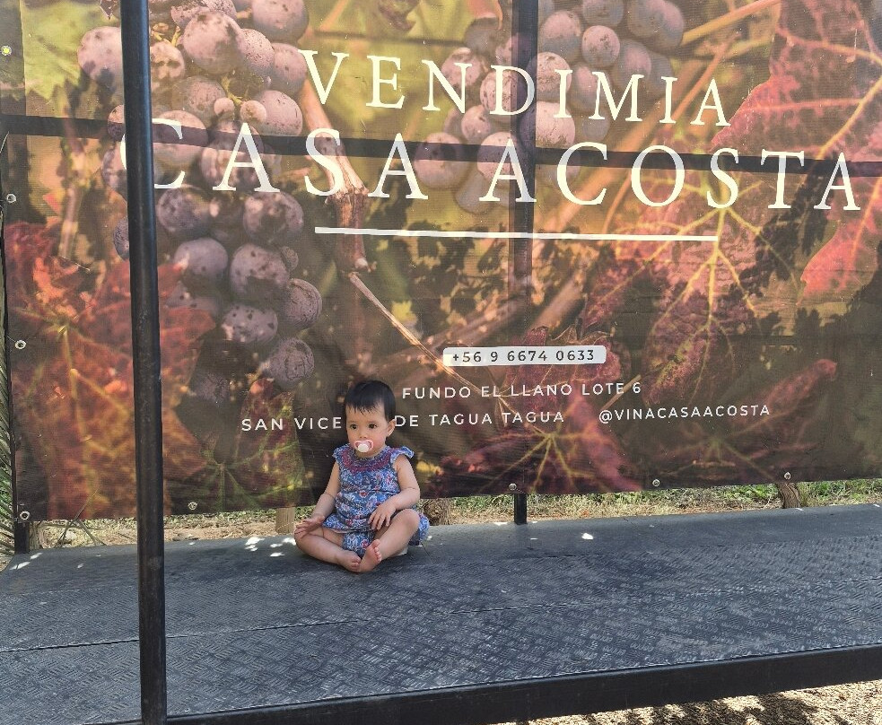 Viña Casa Acosta-San Vicente de Tagua Tagua必去景点