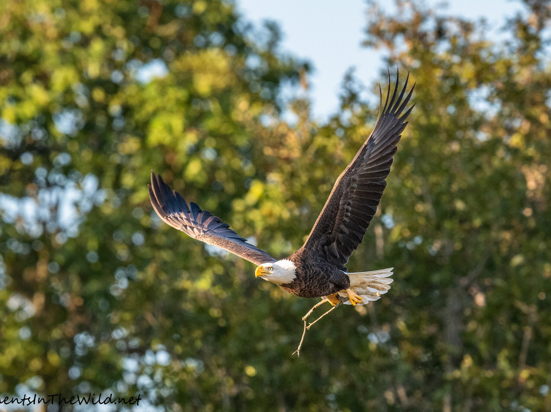 Circle B Bar Reserve-莱克兰必去景点