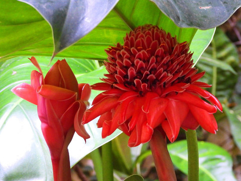 克罗尼尔别墅酒店主图