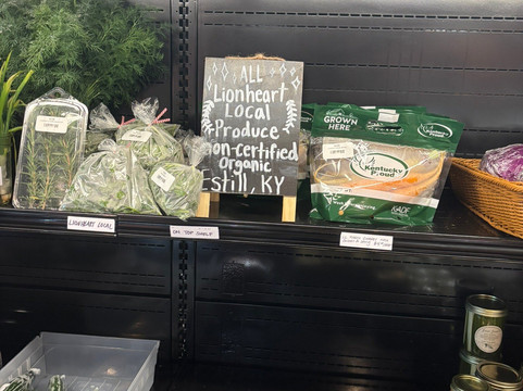 Lionheart Local-拉韦纳必去景点