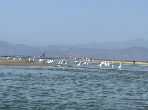 Kayak & Paddle Board Experiences in Barra de Potosi-Petatlan必去景点