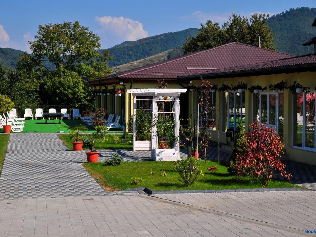 Pensiunea Vadu Izei