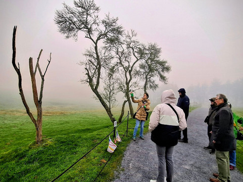 Somme-r-Ballade Private Tours-亚眠必去景点