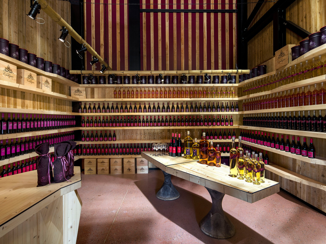 Cave De Château Castigno-Assignan必去景点