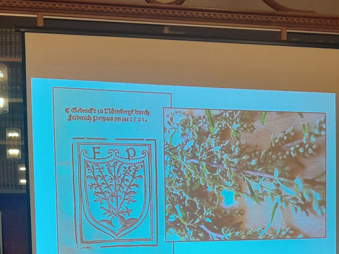 Historische Bibliothek im Ludwig-Wilhelm-Gymnasium-拉施塔特必去景点