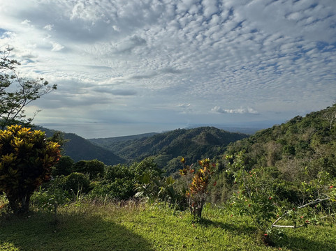 Pura Vida Gardens and Waterfalls-哈科必去景点