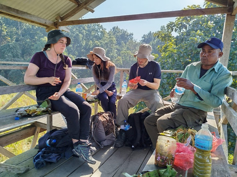 Jungle Expert Treks and Tours