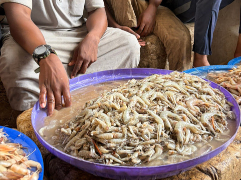 Gigi di Zanzibar-桑给巴尔岛必去景点