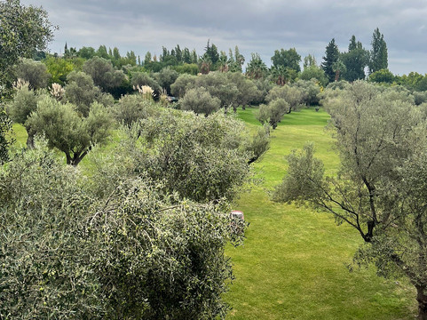 Bodega Trapiche-门多萨必去景点