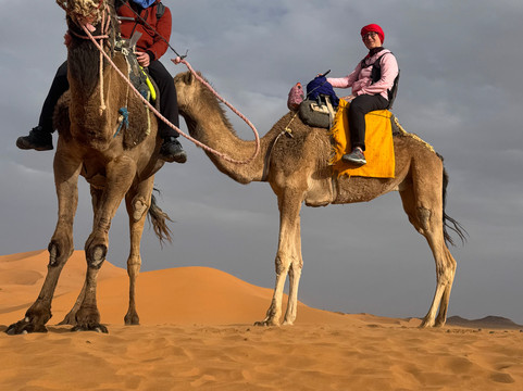 Tours in Marrakech-马拉喀什必去景点