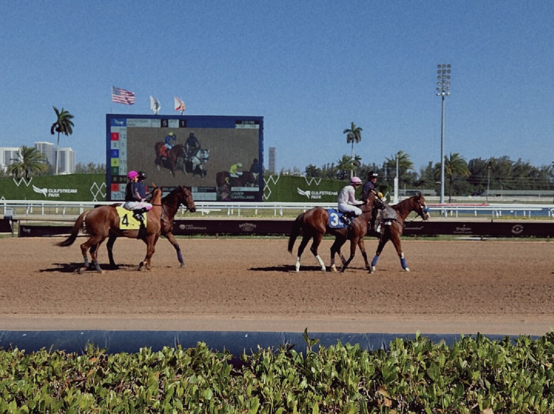 Gulfstream Park Racing and Casino-哈伦代尔海滩必去景点