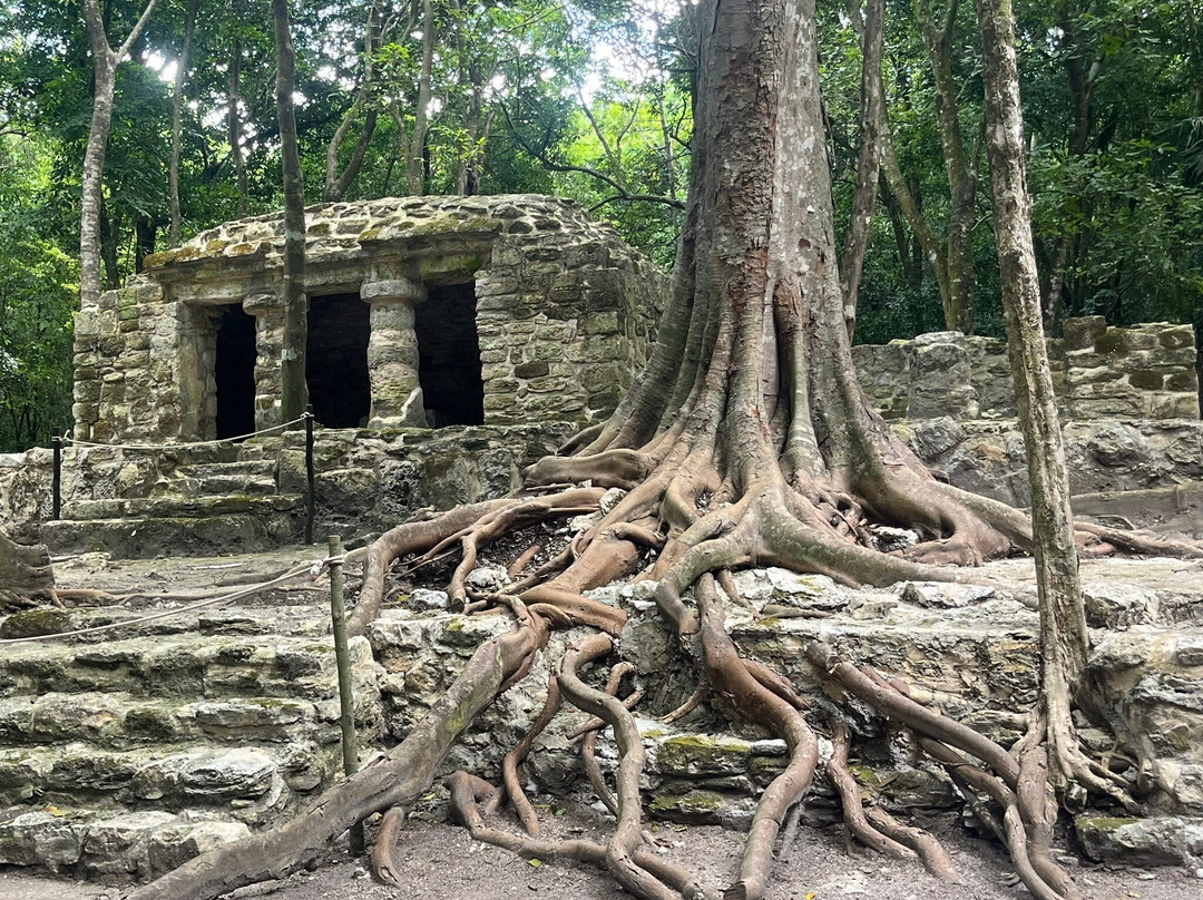 Zona Arqueológica de Muyil-Chunyaxche必去景点
