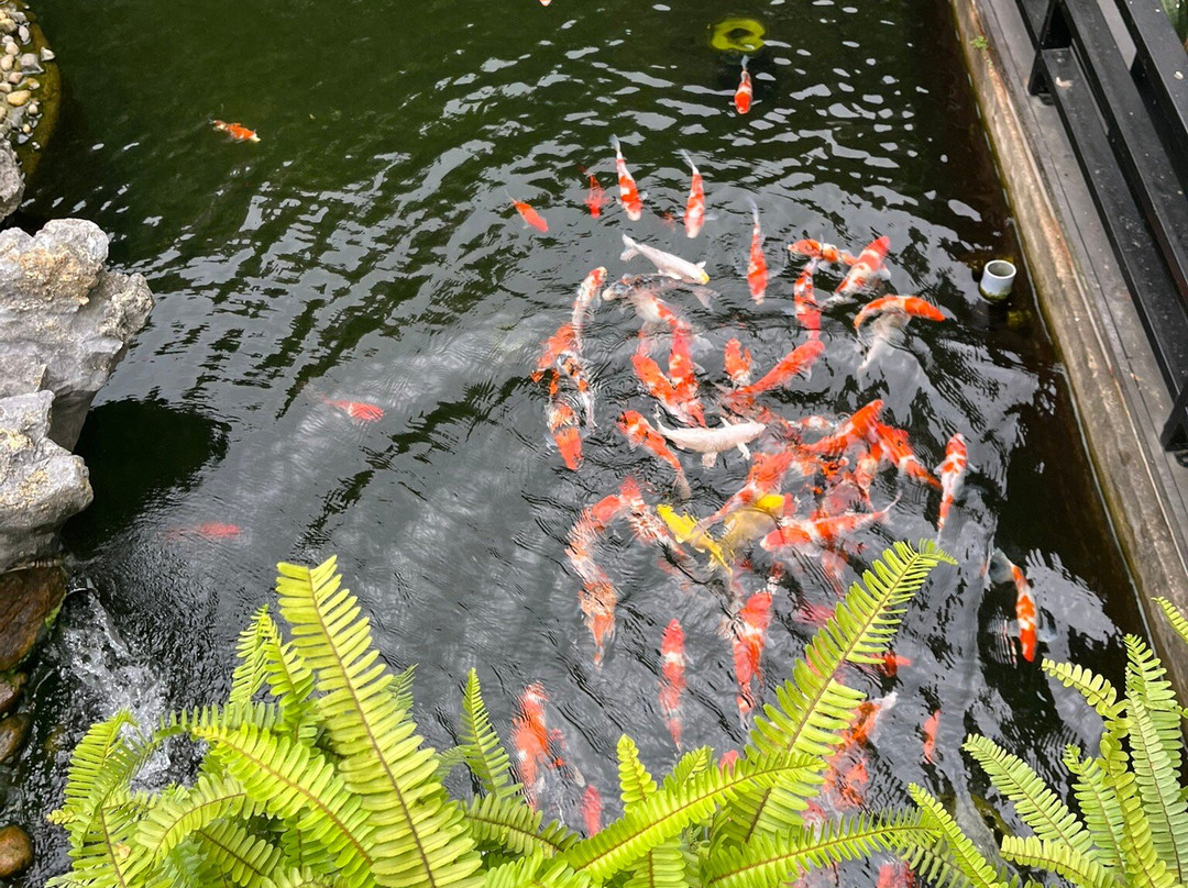 森纳顺化酒店主图