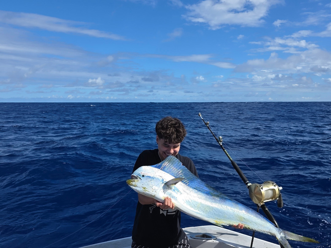 Live Bait Sport Fishing-怀厄奈必去景点
