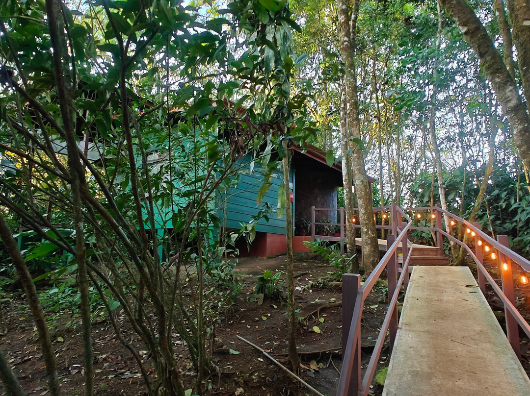 卡西塔斯特诺里奥家庭旅馆主图