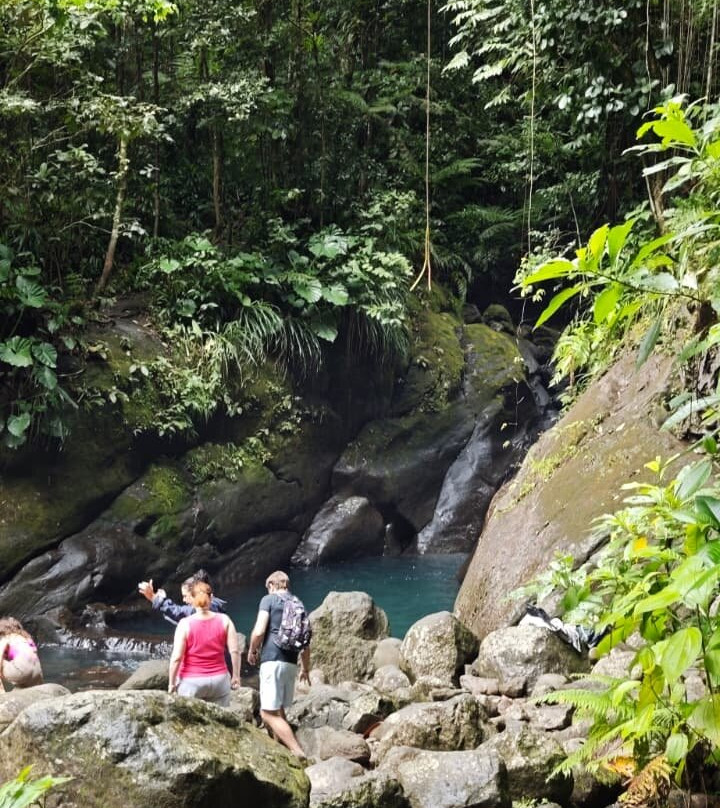 Cascades du Bassin Bleu-Gourbeyre必去景点