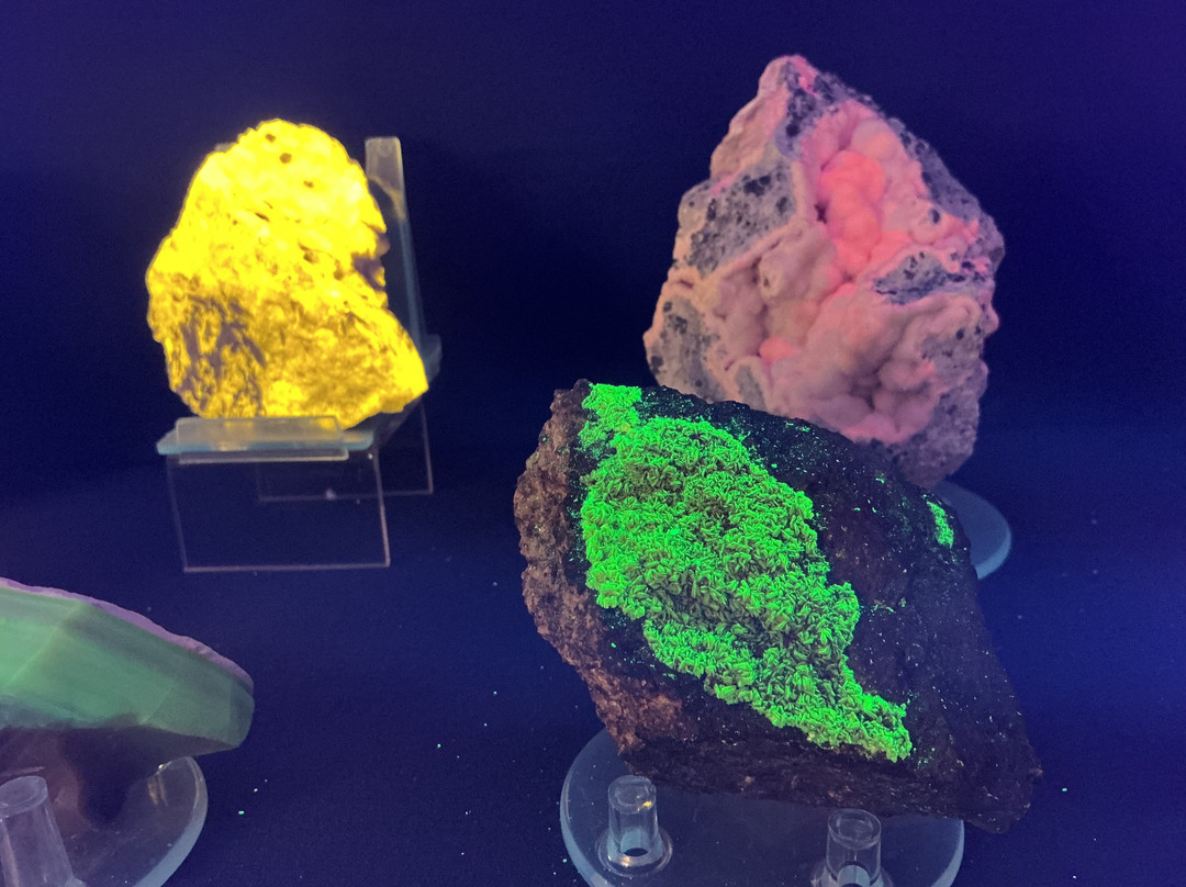 Museo Mineralogico Campano-维克艾库塞必去景点