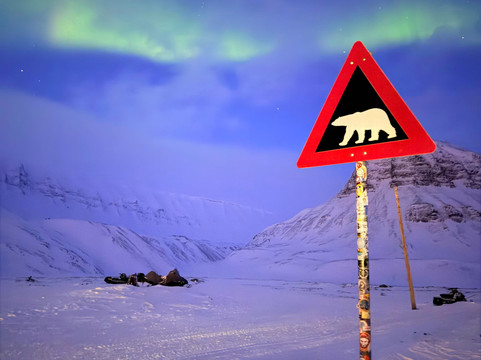 Poli Arctici-朗伊尔城必去景点