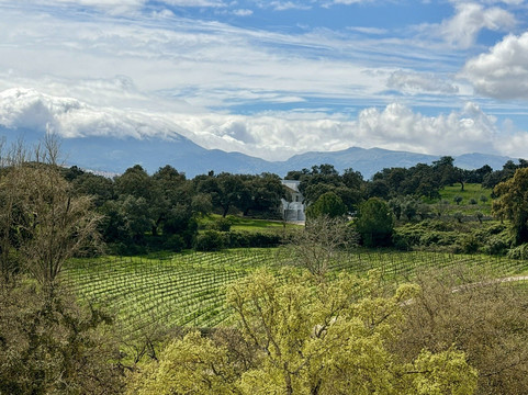 La Melonera-隆达必去景点