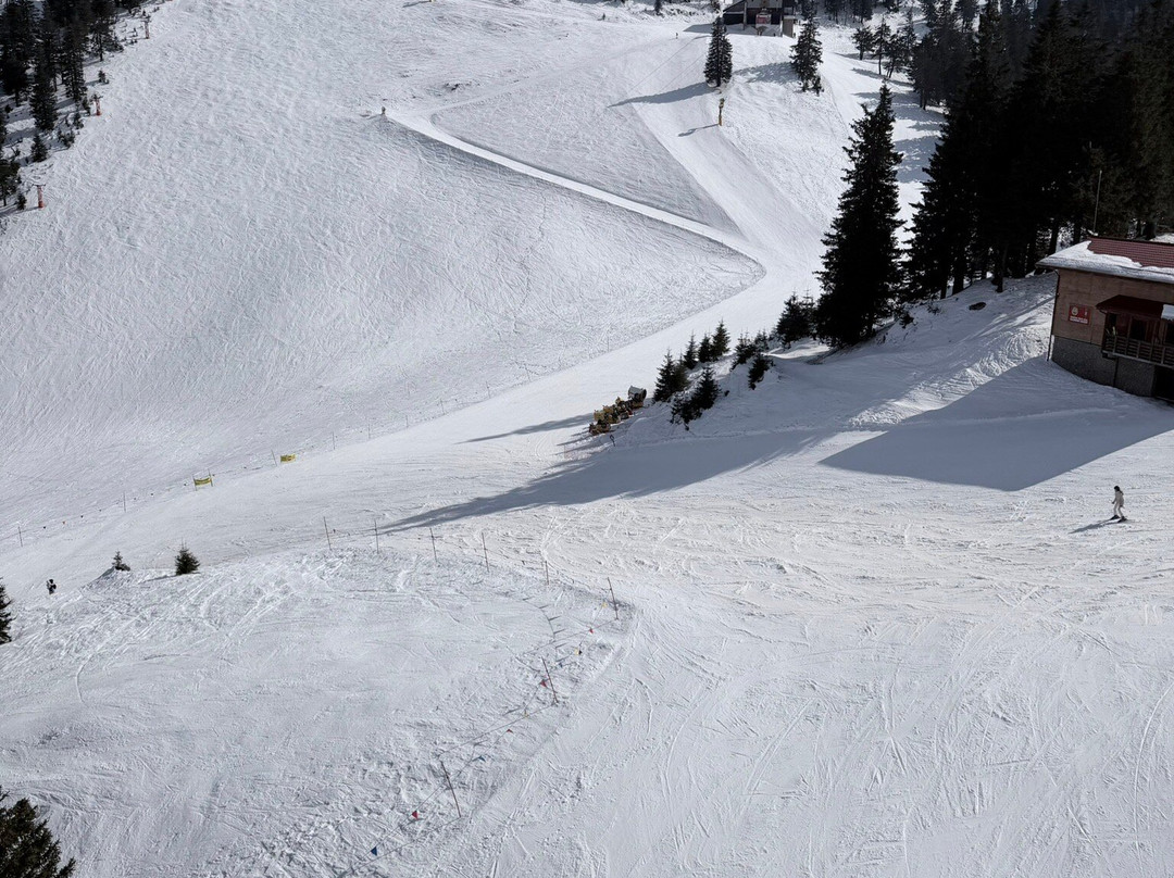 Poiana Brasov-波亚纳布拉索夫必去景点
